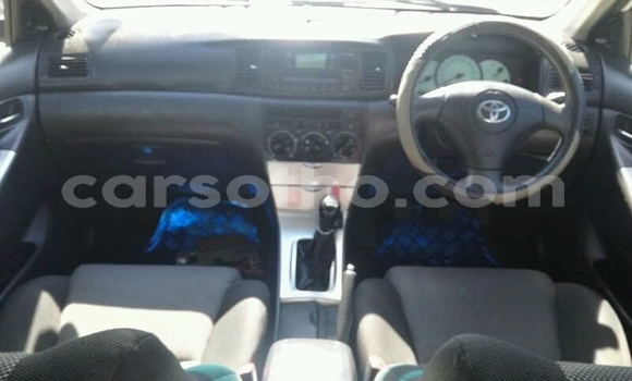 Buy Used Toyota Runx White Car in Maseru in Maseru Buy Used Toyota Runx White Car in Maseru in Maseru