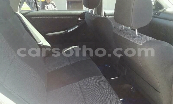 Buy Used Toyota Runx White Car in Maseru in Maseru Buy Used Toyota Runx White Car in Maseru in Maseru