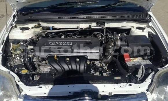 Buy Used Toyota Runx White Car in Maseru in Maseru Buy Used Toyota Runx White Car in Maseru in Maseru