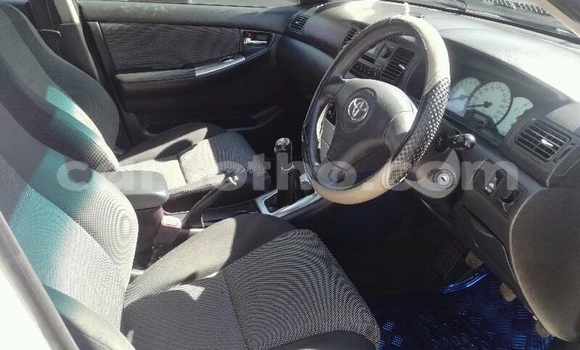 Buy Used Toyota Runx White Car in Maseru in Maseru Buy Used Toyota Runx White Car in Maseru in Maseru