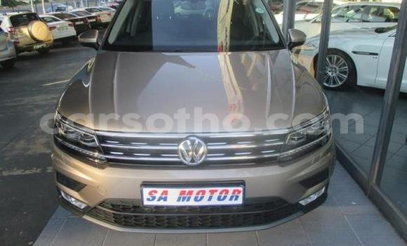 Buy Used Volkswagen Tiguan Other Car in Hlotse in Leribe Buy Used Volkswagen Tiguan Other Car in Hlotse in Leribe