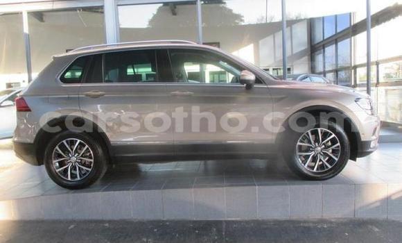 Buy Used Volkswagen Tiguan Other Car in Hlotse in Leribe Buy Used Volkswagen Tiguan Other Car in Hlotse in Leribe