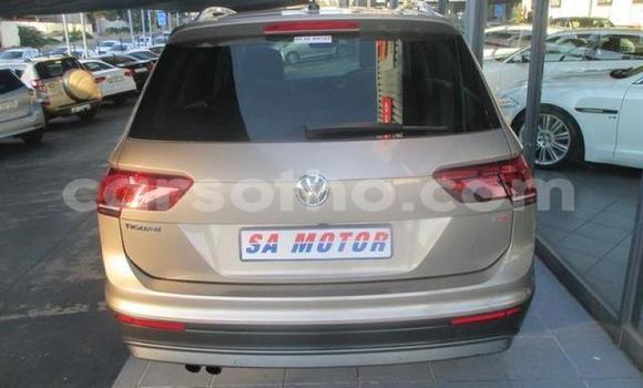 Buy Used Volkswagen Tiguan Other Car in Hlotse in Leribe Buy Used Volkswagen Tiguan Other Car in Hlotse in Leribe