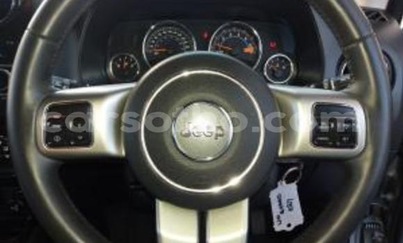 Buy Used Jeep Patriot Silver Car in Hlotse in Leribe Buy Used Jeep Patriot Silver Car in Hlotse in Leribe