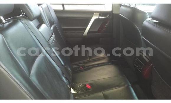 Acheter Occasion Voiture Toyota Prado Blanc à Mokhotlong, Berea Acheter Occasion Voiture Toyota Prado Blanc à Mokhotlong, Berea