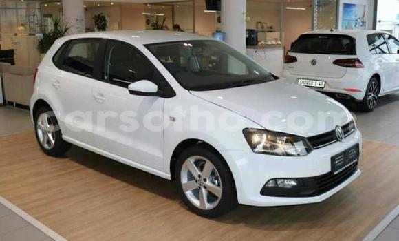 اشتري مستعمل Volkswagen Polo White سيارة في Maseru في Maseru اشتري مستعمل Volkswagen Polo White سيارة في Maseru في Maseru