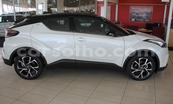 Buy Used Toyota C-HR White Car in Maputsoe in Leribe Buy Used Toyota C-HR White Car in Maputsoe in Leribe