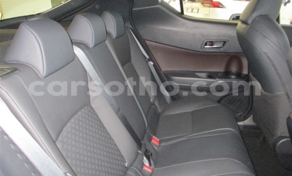 Buy Used Toyota C-HR White Car in Maputsoe in Leribe Buy Used Toyota C-HR White Car in Maputsoe in Leribe