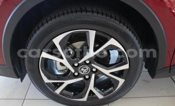 Acheter Occasion Voiture Toyota C-HR Rouge à Mokhotlong, Berea Acheter Occasion Voiture Toyota C-HR Rouge à Mokhotlong, Berea