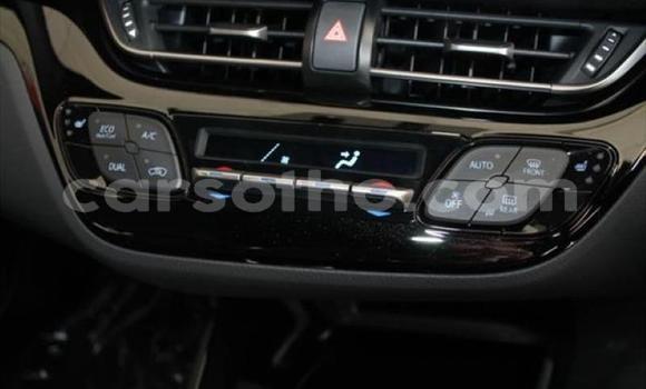 Acheter Occasion Voiture Toyota C-HR Rouge à Mokhotlong, Berea Acheter Occasion Voiture Toyota C-HR Rouge à Mokhotlong, Berea