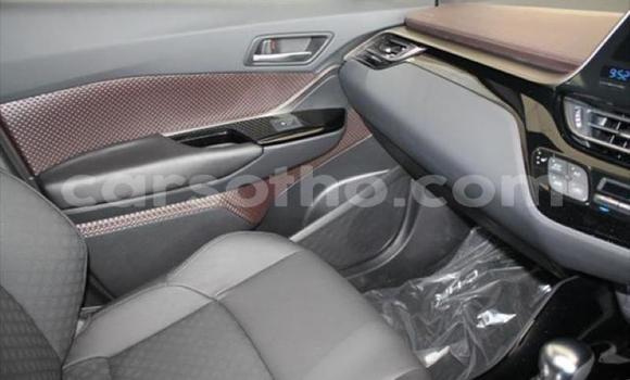 Acheter Occasion Voiture Toyota C-HR Rouge à Mokhotlong, Berea Acheter Occasion Voiture Toyota C-HR Rouge à Mokhotlong, Berea