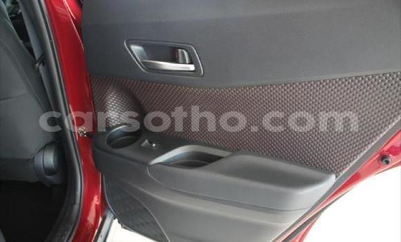 Acheter Occasion Voiture Toyota C-HR Rouge à Mokhotlong, Berea Acheter Occasion Voiture Toyota C-HR Rouge à Mokhotlong, Berea