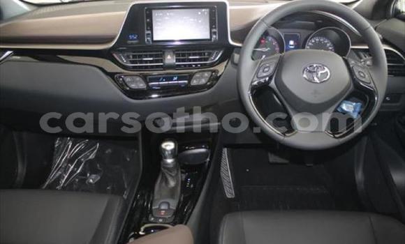 Acheter Occasion Voiture Toyota C-HR Rouge à Mokhotlong, Berea Acheter Occasion Voiture Toyota C-HR Rouge à Mokhotlong, Berea