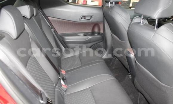 Acheter Occasion Voiture Toyota C-HR Rouge à Mokhotlong, Berea Acheter Occasion Voiture Toyota C-HR Rouge à Mokhotlong, Berea