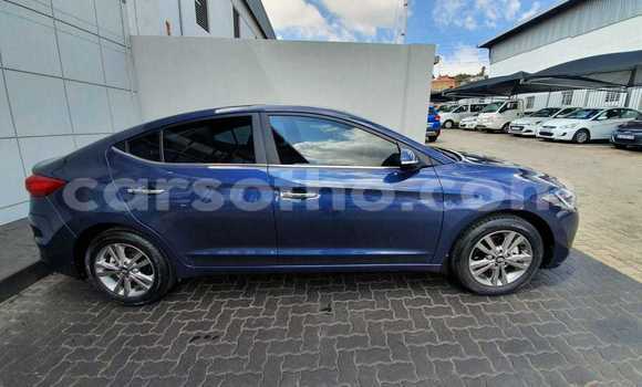 اشتري مستعمل Hyundai Elantra Blue سيارة في Maputsoe في Leribe اشتري مستعمل Hyundai Elantra Blue سيارة في Maputsoe في Leribe