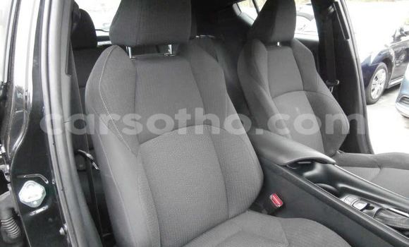 Acheter Occasion Voiture Toyota C-HR Noir à Butha Buthe, Butha-Buthe Acheter Occasion Voiture Toyota C-HR Noir à Butha Buthe, Butha-Buthe