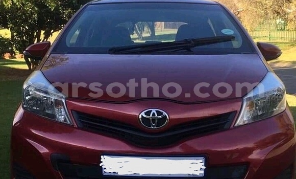 Buy Used Toyota Yaris Red Car in Maseru in Maseru Buy Used Toyota Yaris Red Car in Maseru in Maseru