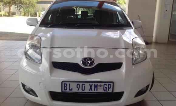 Buy Used Toyota Yaris White Car in Maseru in Maseru Buy Used Toyota Yaris White Car in Maseru in Maseru
