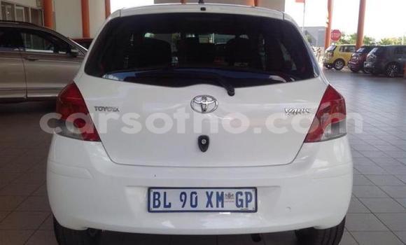 Buy Used Toyota Yaris White Car in Maseru in Maseru Buy Used Toyota Yaris White Car in Maseru in Maseru