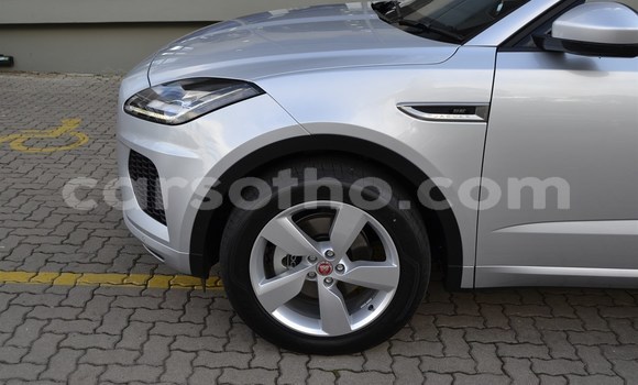 اشتري مستعمل Jaguar F-Pace Other سيارة في Mokhotlong في Berea اشتري مستعمل Jaguar F-Pace Other سيارة في Mokhotlong في Berea