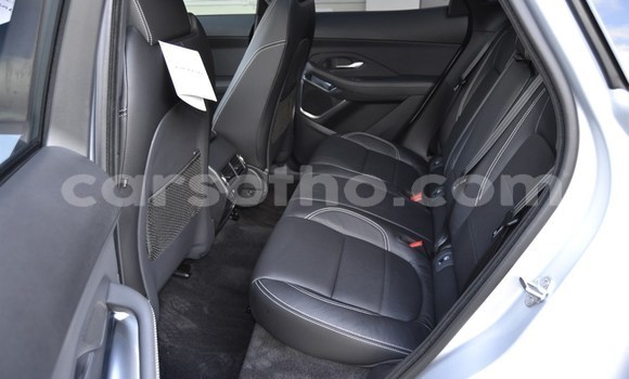 اشتري مستعمل Jaguar F-Pace Other سيارة في Mokhotlong في Berea اشتري مستعمل Jaguar F-Pace Other سيارة في Mokhotlong في Berea