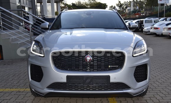 اشتري مستعمل Jaguar F-Pace Other سيارة في Mokhotlong في Berea اشتري مستعمل Jaguar F-Pace Other سيارة في Mokhotlong في Berea
