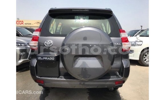 اشتري Imported Toyota Prado Other سيارة في Import - Dubai في Maseru اشتري Imported Toyota Prado Other سيارة في Import - Dubai في Maseru