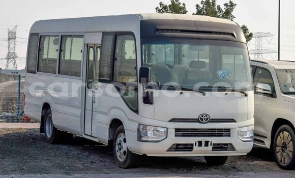 Sayi Imported Toyota Coaster White Mota in Import - Dubai a Maseru Sayi Imported Toyota Coaster White Mota in Import - Dubai a Maseru