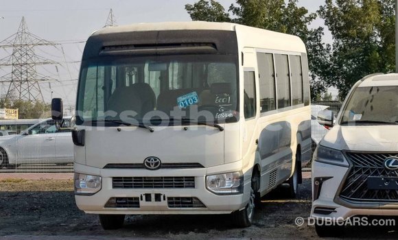 Sayi Imported Toyota Coaster White Mota in Import - Dubai a Maseru Sayi Imported Toyota Coaster White Mota in Import - Dubai a Maseru