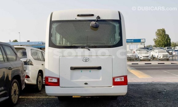 Sayi Imported Toyota Coaster White Mota in Import - Dubai a Maseru Sayi Imported Toyota Coaster White Mota in Import - Dubai a Maseru