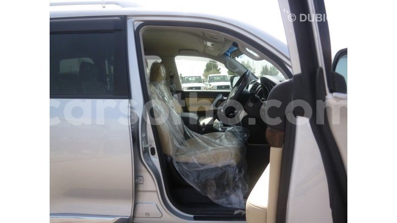 Big with watermark 53a47051 9a3b 454b 9332 108e6cc06224