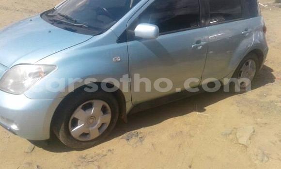 Buy Used Toyota IST Other Car in Mafeteng in Mafeteng Buy Used Toyota IST Other Car in Mafeteng in Mafeteng