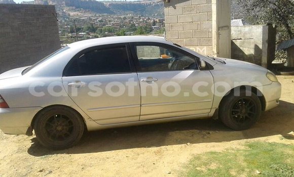 Buy Used Toyota Corolla Silver Car in Maseru in Maseru Buy Used Toyota Corolla Silver Car in Maseru in Maseru