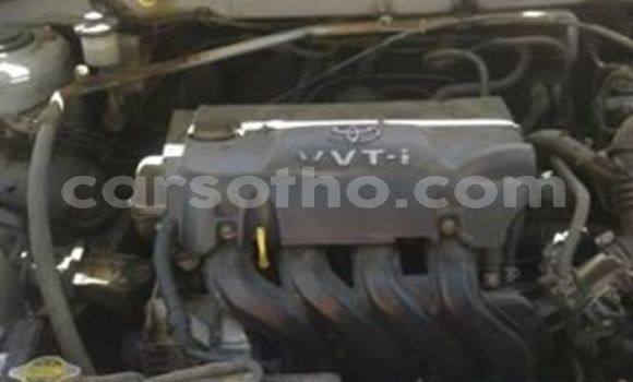اشتري مستعمل Toyota Corolla Silver سيارة في Maseru في Maseru اشتري مستعمل Toyota Corolla Silver سيارة في Maseru في Maseru