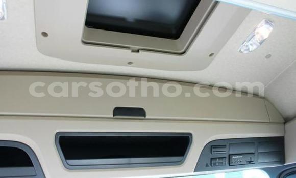 اشتري مستعمل Mercedes‒Benz Truck White شاحنة في Maseru في Maseru اشتري مستعمل Mercedes‒Benz Truck White شاحنة في Maseru في Maseru