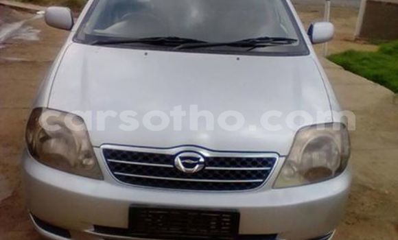 Buy Used Toyota Corolla Silver Car in Maputsoe in Leribe Buy Used Toyota Corolla Silver Car in Maputsoe in Leribe