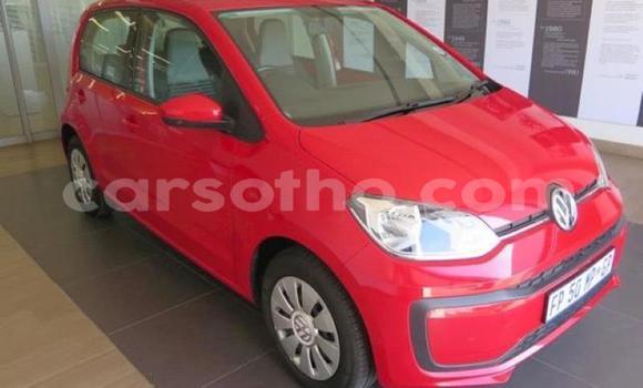 اشتري مستعمل Volkswagen up! Red سيارة في Maputsoe في Leribe اشتري مستعمل Volkswagen up! Red سيارة في Maputsoe في Leribe