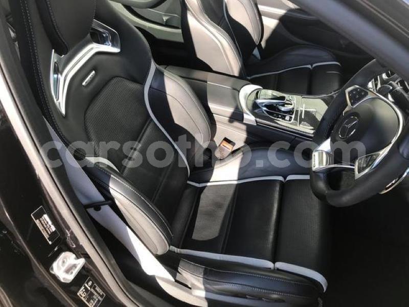 Big with watermark crop800x600 6 