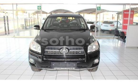 Sayi Na hannu Toyota RAV4 Black Mota in Teyateyaneng a Berea Sayi Na hannu Toyota RAV4 Black Mota in Teyateyaneng a Berea