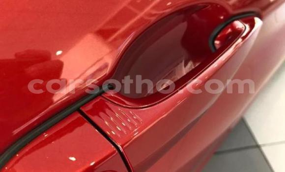 اشتري مستعمل BMW M4 Red سيارة في Import - Dubai في Maseru اشتري مستعمل BMW M4 Red سيارة في Import - Dubai في Maseru