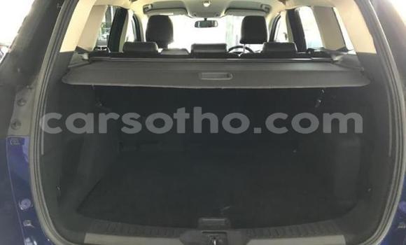 اشتري مستعمل Ford Kuga Blue سيارة في Import - Dubai في Maseru اشتري مستعمل Ford Kuga Blue سيارة في Import - Dubai في Maseru