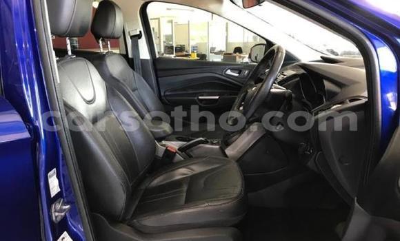 اشتري مستعمل Ford Kuga Blue سيارة في Import - Dubai في Maseru اشتري مستعمل Ford Kuga Blue سيارة في Import - Dubai في Maseru