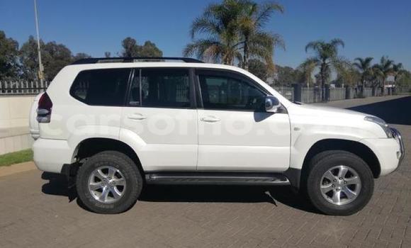 Acheter Occasion Voiture Toyota Land Cruiser Blanc à Maputsoe, Leribe Acheter Occasion Voiture Toyota Land Cruiser Blanc à Maputsoe, Leribe