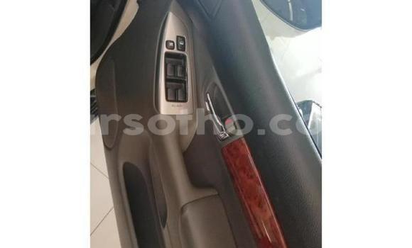 Acheter Occasion Voiture Toyota Land Cruiser Blanc à Maputsoe, Leribe Acheter Occasion Voiture Toyota Land Cruiser Blanc à Maputsoe, Leribe