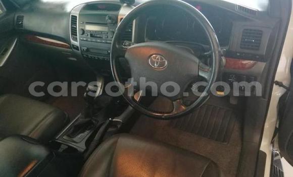 Acheter Occasion Voiture Toyota Land Cruiser Blanc à Maputsoe, Leribe Acheter Occasion Voiture Toyota Land Cruiser Blanc à Maputsoe, Leribe