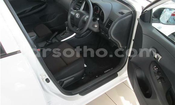 Acheter Occasion Voiture Toyota Corolla Blanc à Maseru, Maseru Acheter Occasion Voiture Toyota Corolla Blanc à Maseru, Maseru