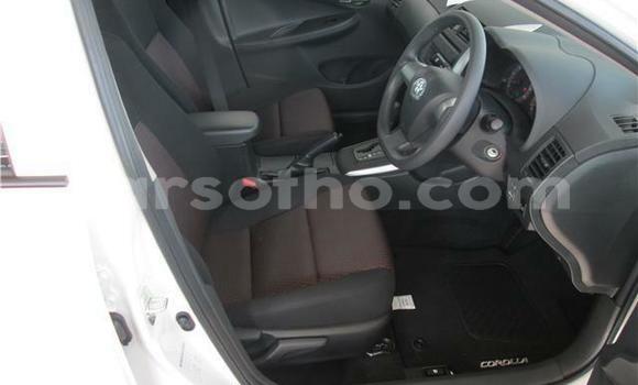 Acheter Occasion Voiture Toyota Corolla Blanc à Maseru, Maseru Acheter Occasion Voiture Toyota Corolla Blanc à Maseru, Maseru