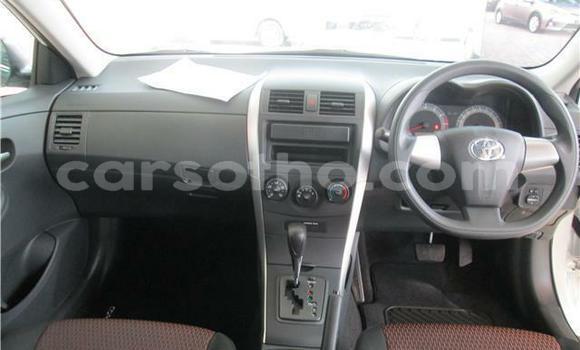 Acheter Occasion Voiture Toyota Corolla Blanc à Maseru, Maseru Acheter Occasion Voiture Toyota Corolla Blanc à Maseru, Maseru