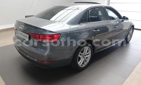 Acheter Occasion Voiture Audi A4 Beige à Mafeteng, Mafeteng Acheter Occasion Voiture Audi A4 Beige à Mafeteng, Mafeteng