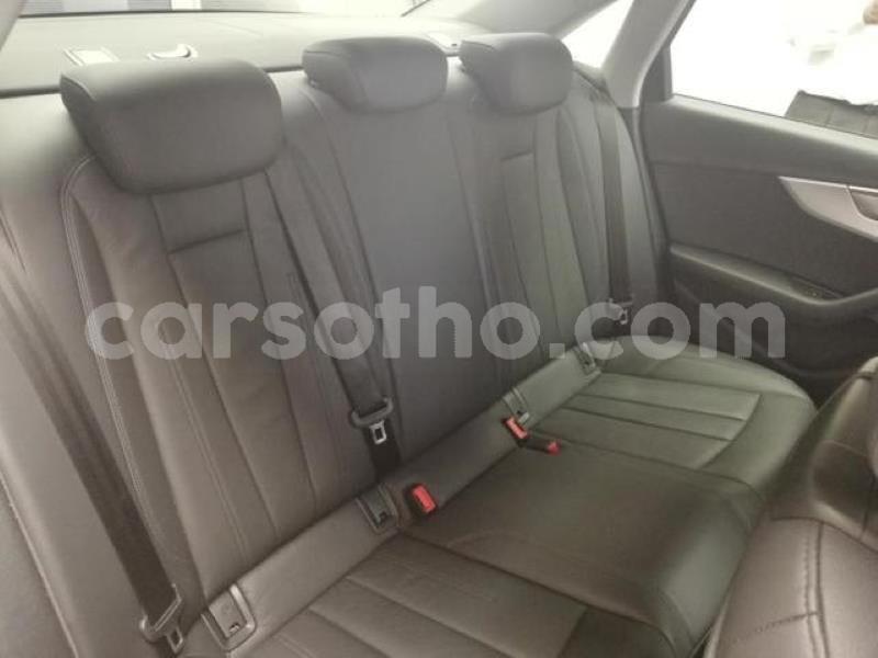 Big with watermark crop800x600 66